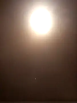 Snapshot of vox77 chatting on December 2024 06:33:02 PM vox77 online show from December 2024 06:33:02 PM