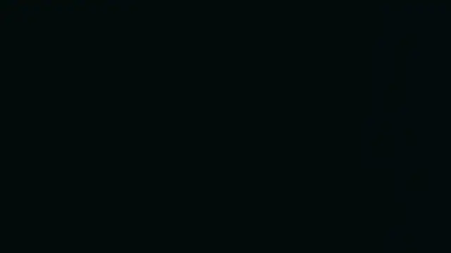 XantheBloom online show from July 2026 01:08:02 PM