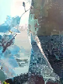 supreme boys online show from July 2026 03:14:01 PM