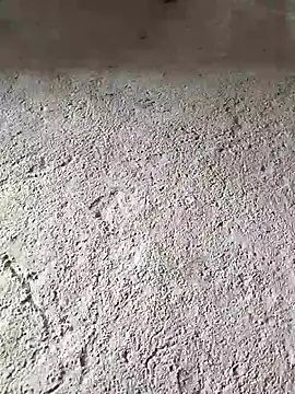 Hot nisha62 online show from July 2026 05:59:01 AM