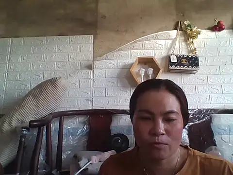 Link-lovely online show from July 2026 06:20:02 AM