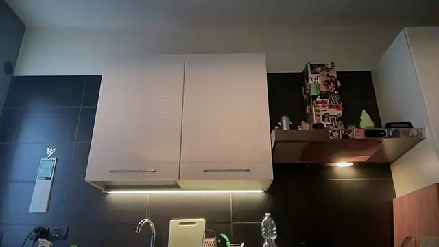 Snapshot of theitalianbear chatting on February 2026 06:42:01 AM theitalianbear online show from February 2026 06:42:01 AM