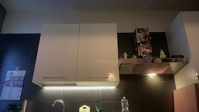 Snapshot of theitalianbear chatting on January 2026 02:55:02 PM theitalianbear online show from January 2026 02:55:02 PM