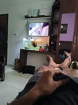 big two indian bull online show from July 2026 08:32:02 AM