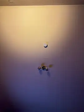 slaveboy2016xh online show from February 2026 07:36:02 PM