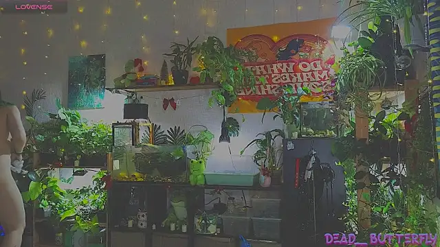 Snapshot of Dead_Butterfly chatting on January 2025 03:28:02 AM Dead Butterfly online show from January 2025 03:28:02 AM