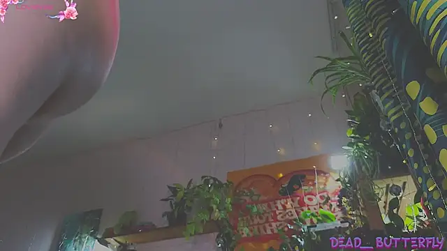 Snapshot of Dead_Butterfly chatting on February 2025 03:41:02 AM Dead Butterfly online show from February 2025 03:41:02 AM
