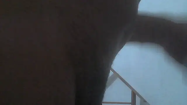 Snapshot of el_principe_hot chatting on November 2025 03:50:02 AM el principe hot online show from November 2025 03:50:02 AM