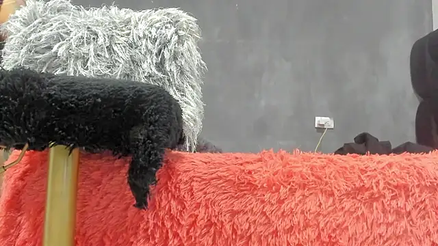 SandraGoldstein online show from March 2026 01:21:02 AM