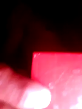 Spnfks online show from May 2026 12:08:01 AM