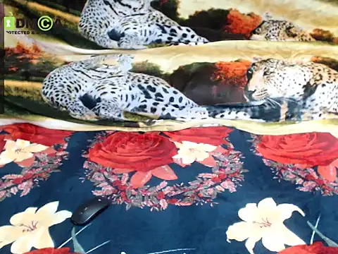 Queen Sarah online show from December 2025 08:04:02 PM