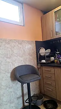 rposhta1991 online show from March 2026 10:54:02 AM