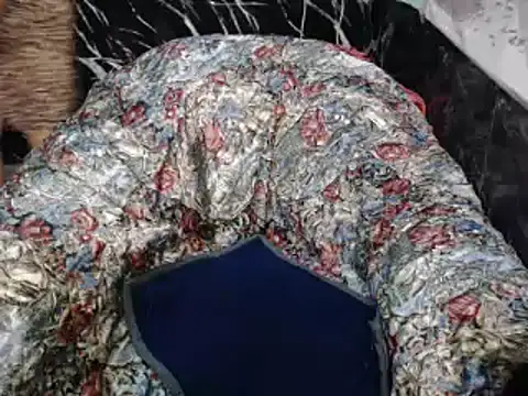 ASIANDOLLY4U online show from February 2026 10:31:01 PM