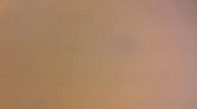 Snapshot of lilpervt chatting on December 2024 11:55:01 AM lilpervt online show from December 2024 11:55:01 AM