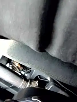 LifeLineSL online show from March 2026 06:32:02 AM