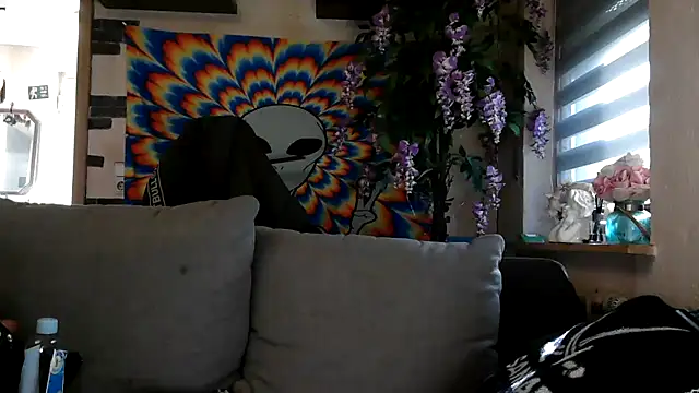 Snapshot of RoxxyInk chatting on November 2025 11:03:02 AM RoxxyInk online show from November 2025 11:03:02 AM