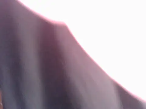 sissyvee online show from June 2026 12:43:01 PM