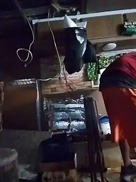 Biknight online show from March 2026 01:29:01 AM