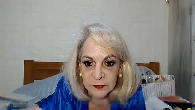 awild kitten online show from June 2026 10:42:02 AM