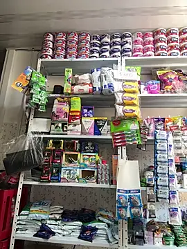 emilyjohanson online show from December 2025 03:50:02 PM