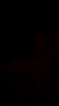 6crimson6 online show from December 2024 04:20:02 AM