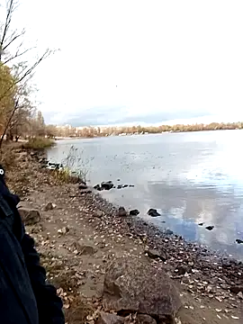 Pokaz2020 online show from October 2025 01:21:02 PM