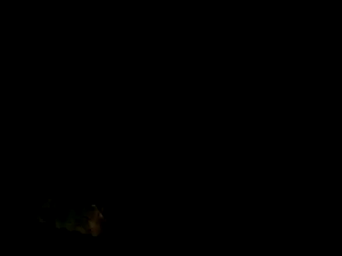 Skody31 online show from May 2026 01:59:02 PM
