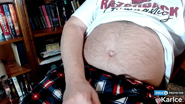 Snapshot of karlce chatting on February 2025 03:41:02 AM karlce online show from February 2025 03:41:02 AM