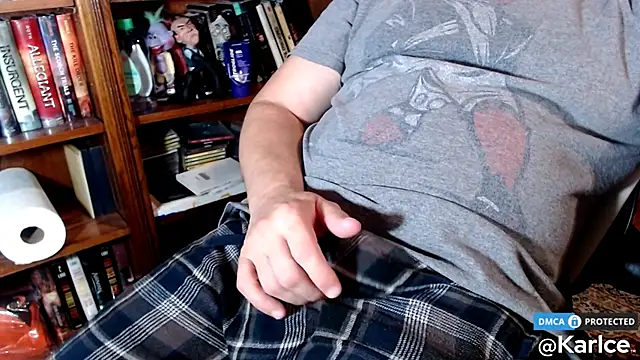 Snapshot of karlce chatting on November 2025 04:02:02 AM karlce online show from November 2025 04:02:02 AM