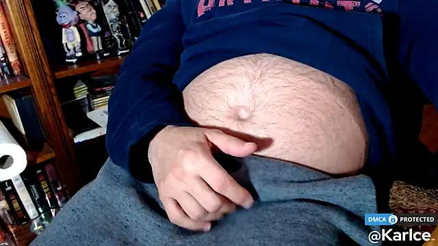 Snapshot of karlce chatting on February 2026 04:08:02 AM karlce online show from February 2026 04:08:02 AM