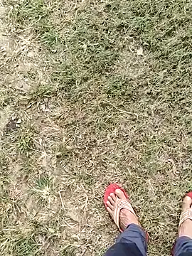 ThethunderPo online show from November 2025 04:16:02 AM