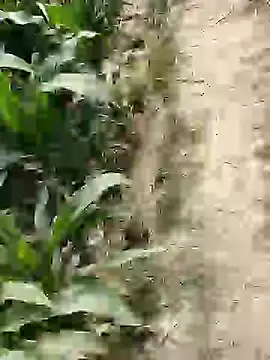 ThethunderPo online show from February 2026 07:41:02 AM