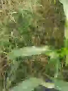 Snapshot of ThethunderPo chatting on March 2026 02:57:01 AM ThethunderPo online show from March 2026 02:57:01 AM