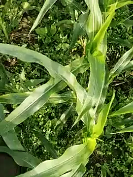 Snapshot of ThethunderPo chatting on March 2026 02:25:02 AM ThethunderPo online show from March 2026 02:25:02 AM