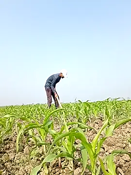 ThethunderPo online show from February 2026 04:41:02 AM