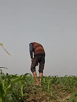 ThethunderPo online show from February 2026 03:14:02 AM