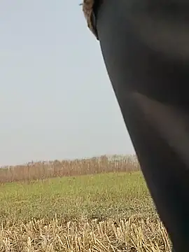 ThethunderPo online show from November 2025 04:39:01 AM