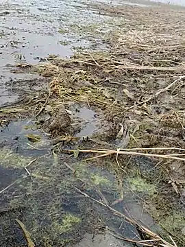 ThethunderPo online show from January 2026 11:14:02 AM