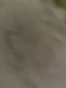 ThethunderPo online show from October 2025 03:25:02 AM