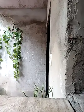 Camilatinass  online show from April 2026 12:41:01 PM