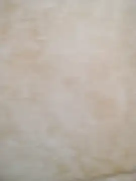 Camilatinass  online show from April 2026 11:27:01 AM