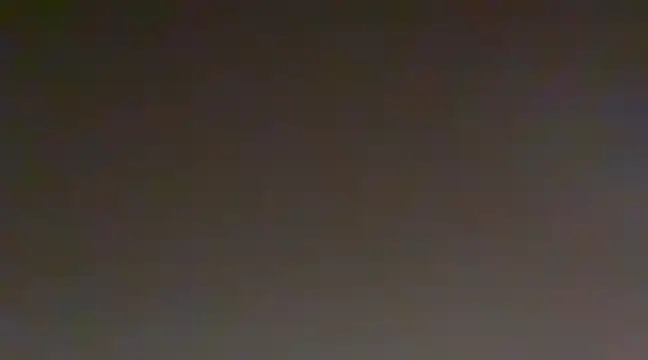 Sunning2 online show from December 2024 11:00:01 AM