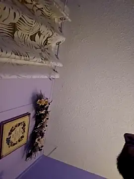 UncutHammer69 online show from December 2025 07:44:01 AM