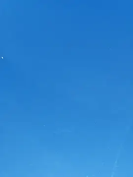 UncutHammer69 online show from April 2026 04:20:02 PM