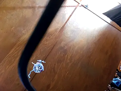 UncutHammer69 online show from April 2026 09:20:01 PM