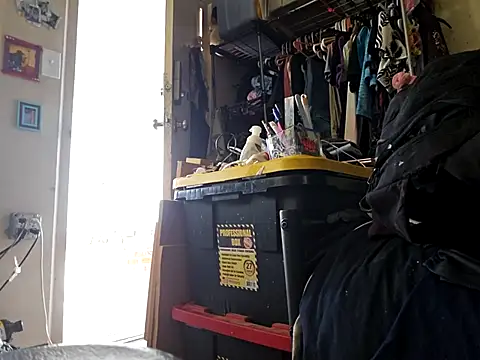 UncutHammer69 online show from January 2026 08:03:01 PM