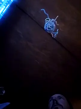 UncutHammer69 online show from April 2026 03:07:01 PM