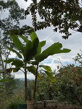 LINDA PATTY94 online show from March 2026 08:36:01 PM