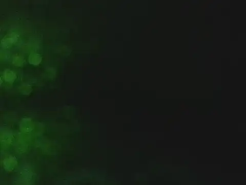 lonelycock33 online show from November 2025 09:41:01 PM