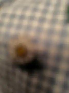 geilerboy2628 online show from March 2026 02:16:01 AM